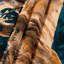 Tapisserie murale «Big Cats Mountain Lion»-133648821
