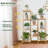Ewanda Plant Stand
