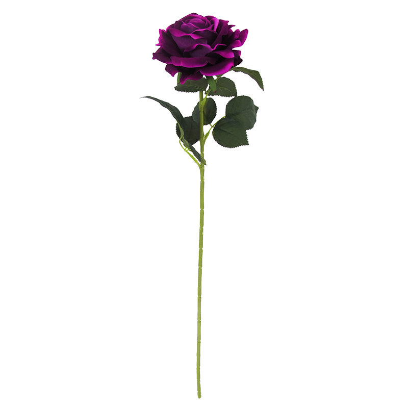 Grandes tiges roses en velours, Mauve prune