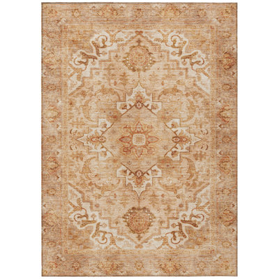 Machine Washable Indoor/Outdoor Oden ACN2164 Global Rug