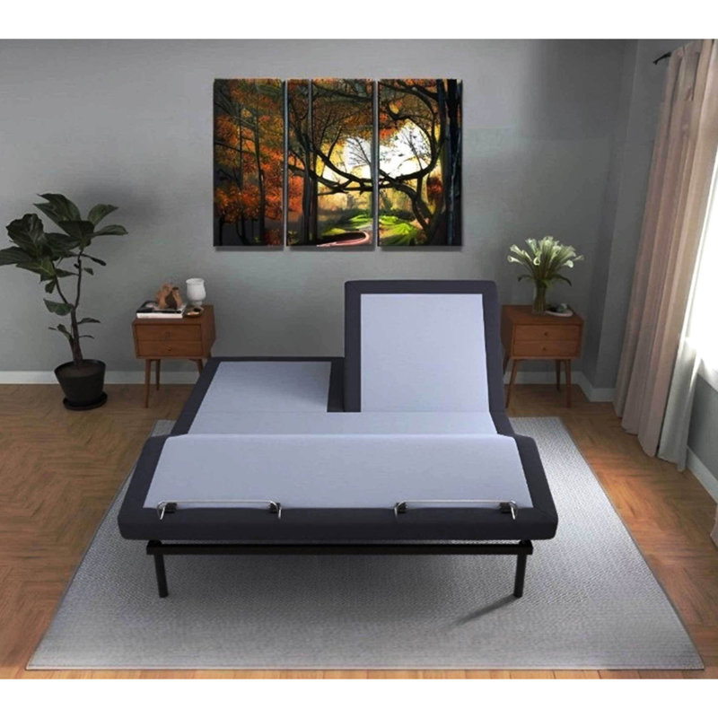 Adjustable Bed Bt3000 For Queen Size - Head And Foot With Remote, Programmable Memories, Chargers, , 3 Preset Positions (tv/zero Gravity/lounge), Intense Massage, Led Underbed Lights, Battery Backup,