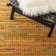 Anaheim Hand Tufted Cotton Abstract Rug