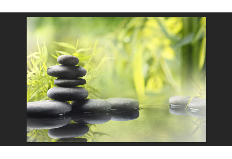 Nature's Quiet 2.45m x 350cm Wallpaper