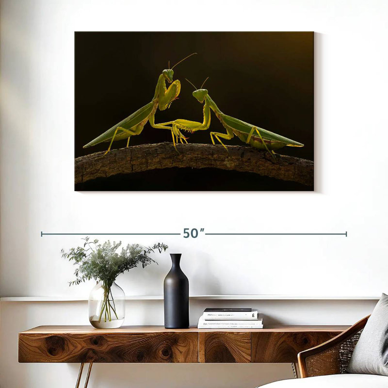 Brampt Praying Mantis Duo