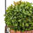 Faux Boxwood, 3 Matching Realistic 9.5" Tall Topiary Arrangements in Decorative Metal Baskets for Indoor Home or Office