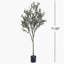 ARBRE D'OLIVE ARTIFIQUE 180CM-1917951744