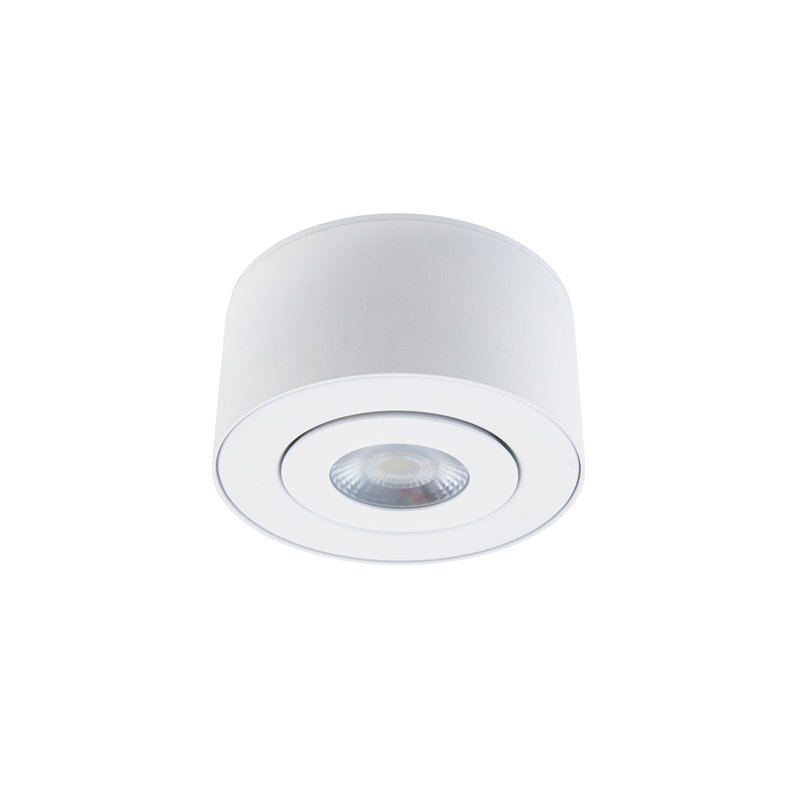 I Spy Versatile White LED Outdoor Flush Mount