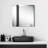 Daytona Mirror-594550310