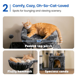 Tucker Murphy Pet™ 36'' Darone Cat Tree or Condo & Reviews | Wayfair