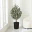 Adcock Faux Olive Tree with UV Protection, 2 Natural Tree Trunks, Large Decorative Potted Olive Tree-89410993-89410998
