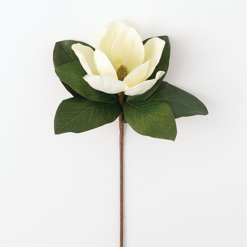 Magnolia Arrangement, 18.5" H x 11" W x 13" D