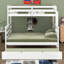 Lit simple superposé au-dessus de grand lit simple avec lit gigogne et échelle intégrée, lit superposé en bois avec garde-corps, peut être séparé en 3 lits-1128713643