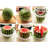 Haitral Nex Slicer
