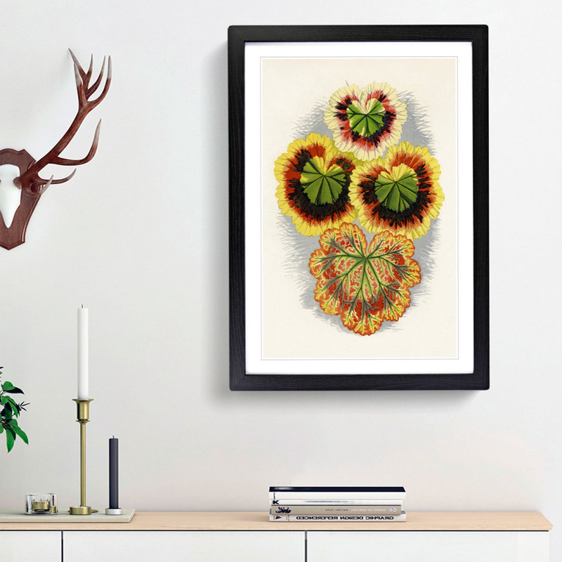 Geranium Leaves by Benjamin Fawcett - Framed Print, 48cm H x 36cm W x 2cm D, Black Framed