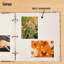 Plastic People Album