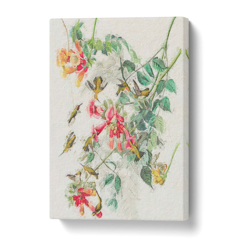 Ruby-Throated Hummingbirds by John Audubon - Wrapped Canvas Painting, 61 cm H x 40.6 cm W