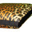 Coussin décoratif 