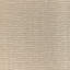 Carnot Plain-2024238389