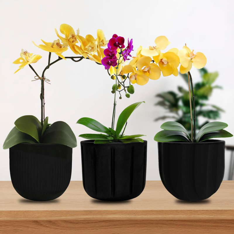 Cachepot, Black