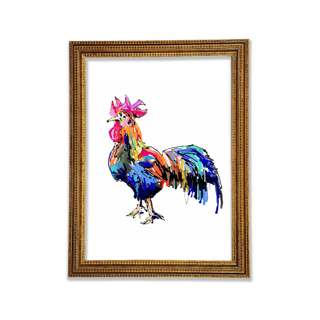 Regenbogen Roostera - Druck