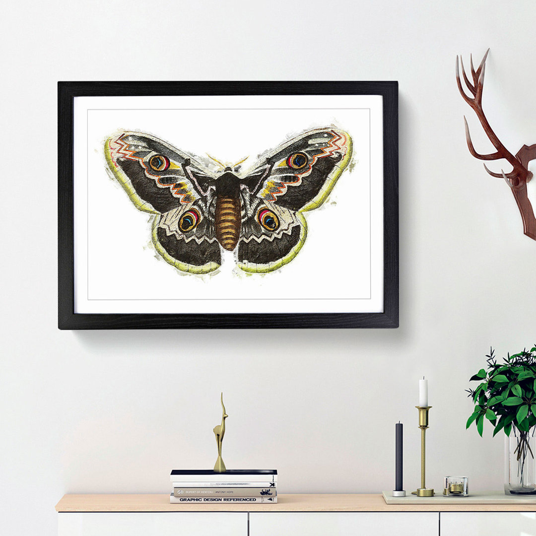 Great Peacock Moth by George Shaw - Picture Frame Painting Print