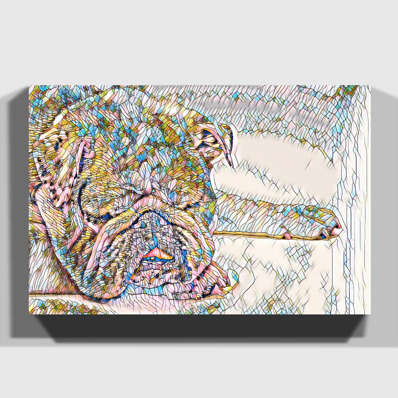 White British Bulldog 1 - Wrapped Canvas, 40cm H x 60cm W