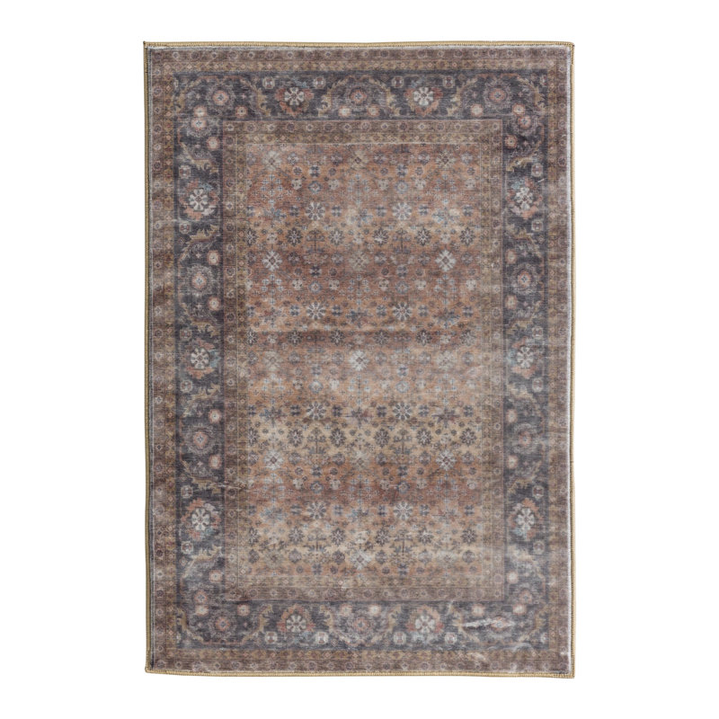 Arradale Soft Plush Machine Washable and Foldable Vintage Distressed Floral Pattern Area Rug Brown, Rectangle 5' x 7'