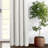 Pacific Stripe-102349054-102349051