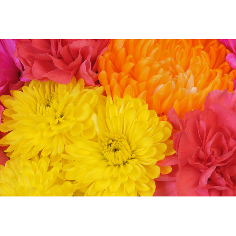 Full Frame Vivid Spring Floral Bouquet Background by JPecha - No Frame Art Prints on Canvas, 81cm H x 122cm W