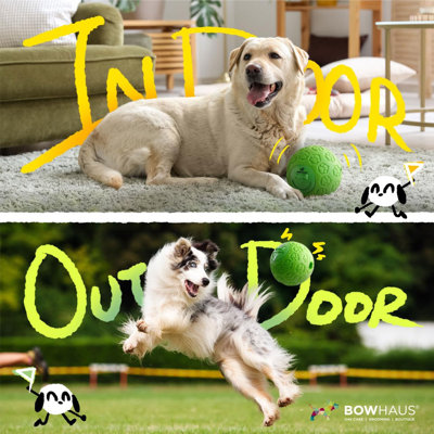 Ballon giggle pour chiens, balle de distribution de gâteries interactives de 5,5 pouces, jouet d'exercice indestructible à mâcher pour chien qui grince, jouet de jeu oscillant en PVC durable non toxique pour jouer à l'intérieur ou à l'extérieur