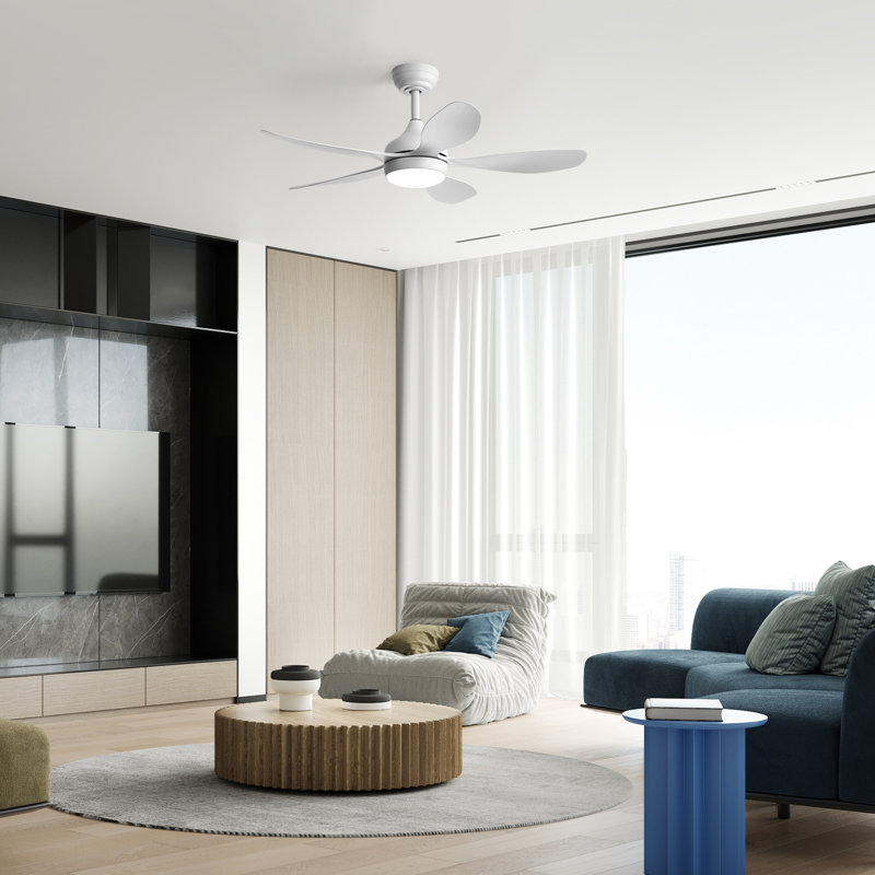 Ceiling Fan with LED Lights