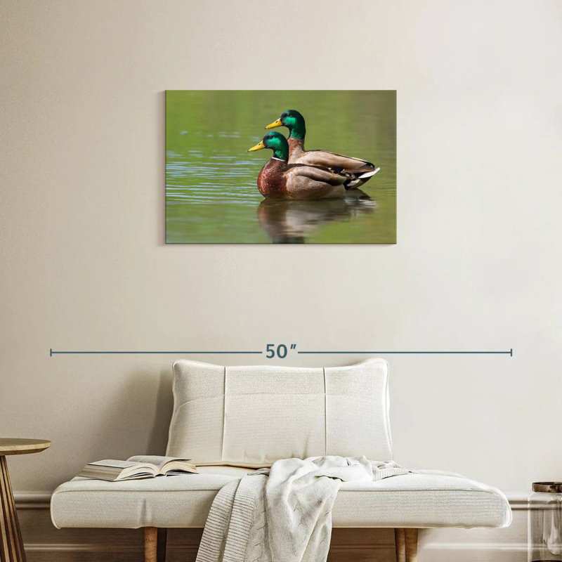 Couple de canards colverts Brampt, H 20 po x l 30 po