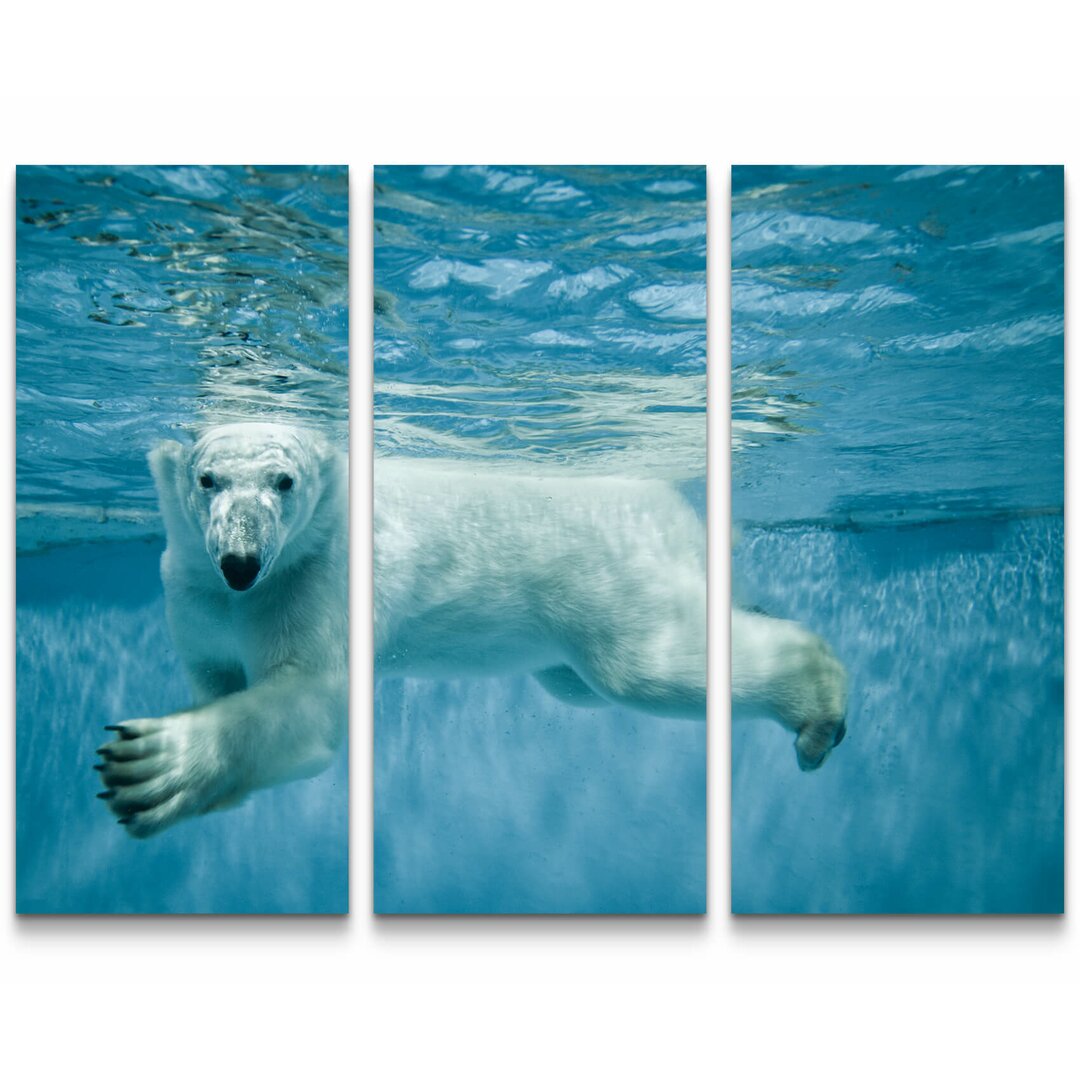 3-tlg. Leinwandbilder-Set Schwimmender Eisbär unter Wasser