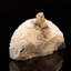 Topaze impériale sur calcite Matrix 2