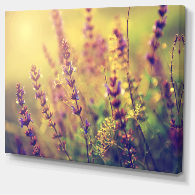 « rétro photo of wild purple fleur », impression sur toile tendue, H 16 po x l 32 po x P 1 po