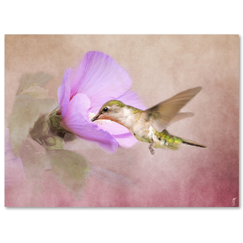 Luxurious Abstract Hummingbird Canvas Print, 15" x 20"