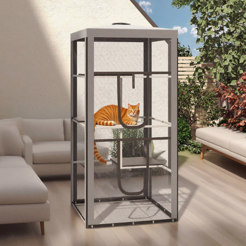 Structure en acier pour chat pour chat