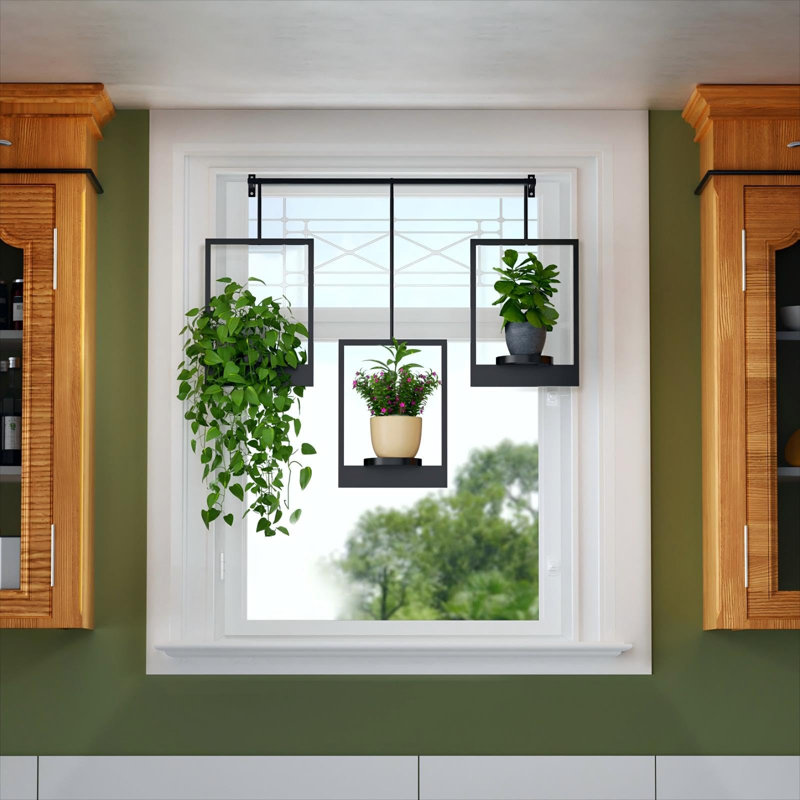 Porte-plantes mural pour plantes d'intérieur