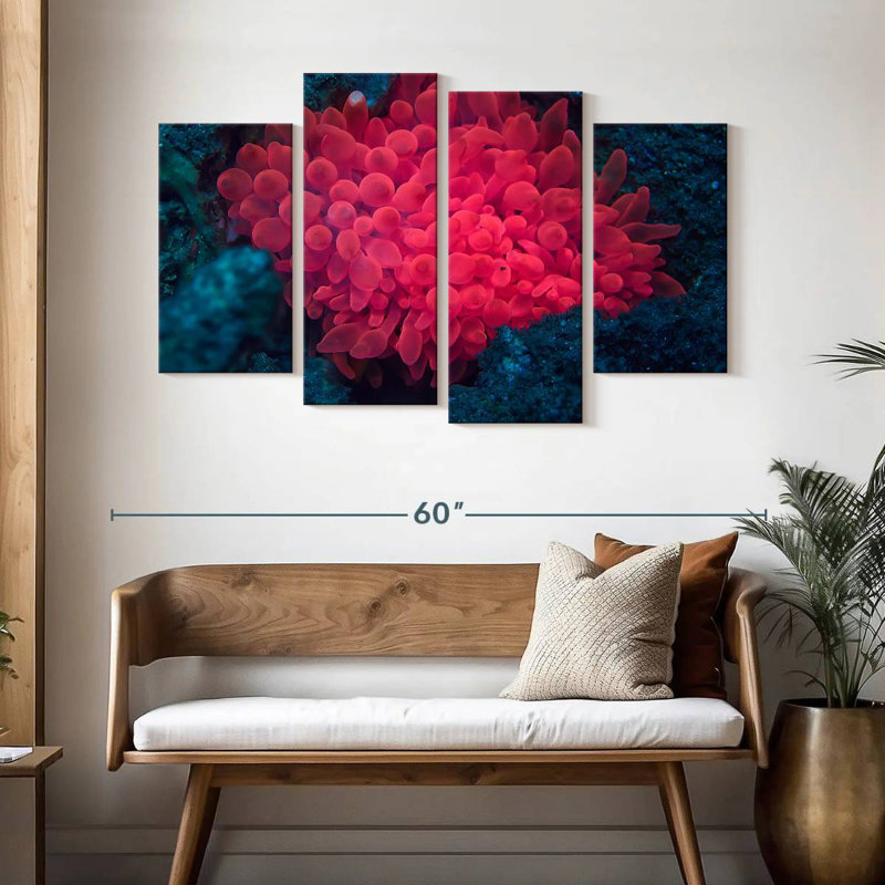 Rose corail, H 32 po x l 52 po