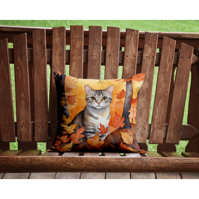 Coussin European European Shorthair