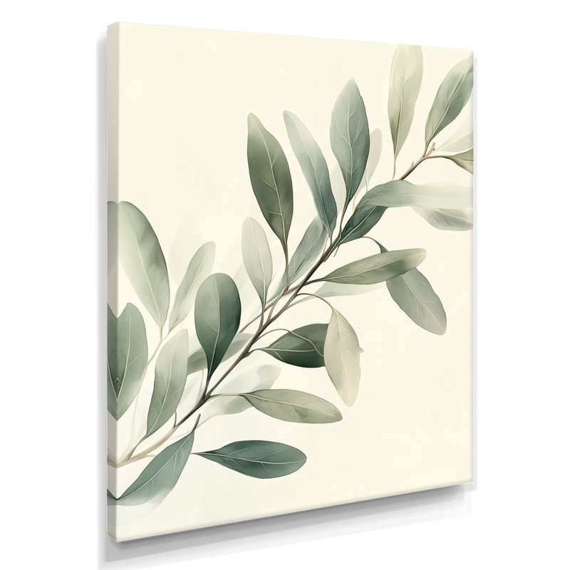 Doux eucalyptus, branche d'olivier I - art mural encadré botanique vert, H 44 po x l 34 po, Toile tendue