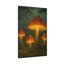 Aaroon Single Picture Frame Print on Canvas-156167860