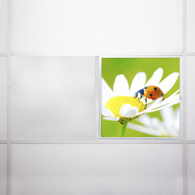Flower Square Fixture Component Ceiling Light