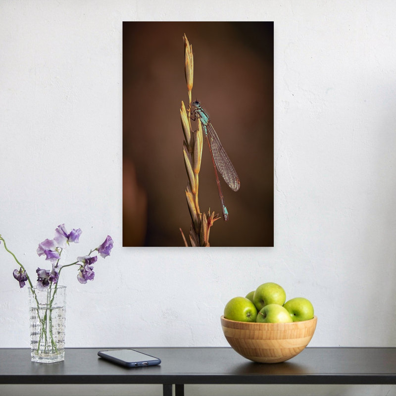 Elegant Blue Damselfly Delicate Elegant Peaceful Animal Nature Wall Art Print 1 Piece Wrapped Canvas Wall Art