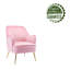 Bucholz Velvet Armchair-804572092