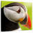Brampt Wild Puffin-109390303