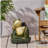 Concrete Frog Umbrella Base - Heavy, 13.98 In Depth, 13.07 Width, 15.63 Height, 60.15 Lb Weight, 19.75 Package 17.5 61.93 Weight Strong Build, 13.98" X 13.07" 15.63", Lb, 19.75" 17.5" 17.5",