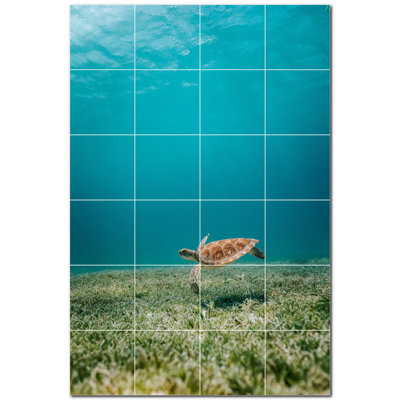 Tortue photo 6 x 6