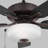 52'' Ceiling Fan with LED Lights-88061700-88061701