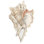 " Seashell IV " by Annie Warren Painting Print